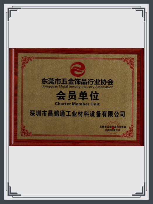 DGMJIA(Dongguan Metal Jewelry Industry Association) Member